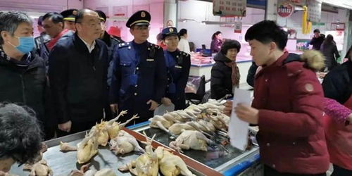 上海開展農(nóng)貿(mào)活禽交易市場疫情防控專項執(zhí)法檢查 保障食用農(nóng)產(chǎn)品批發(fā)安全