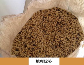 云南省普洱農(nóng)產(chǎn)品批發(fā)供應(yīng)與價格分析 惠農(nóng)網(wǎng)助力產(chǎn)銷對接