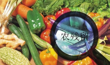 黑龍江通報4批次食用農(nóng)產(chǎn)品農(nóng)藥殘留超標(biāo)，批發(fā)環(huán)節(jié)成監(jiān)管重點